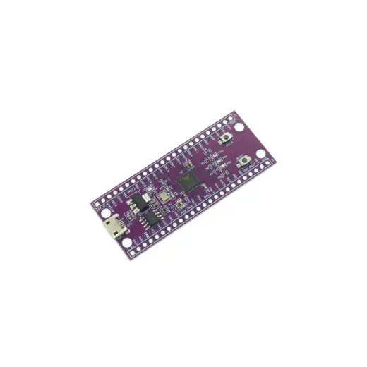 Microcontrolador W806 (placa De Desarrollo)
